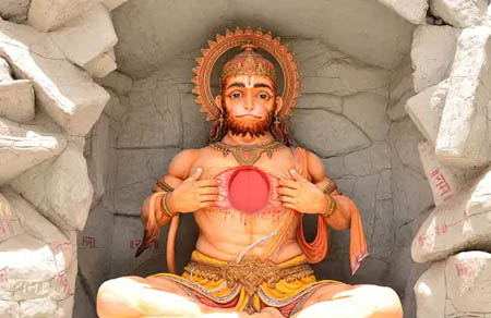 Essence of Yoga and Meditation in the Himalayas