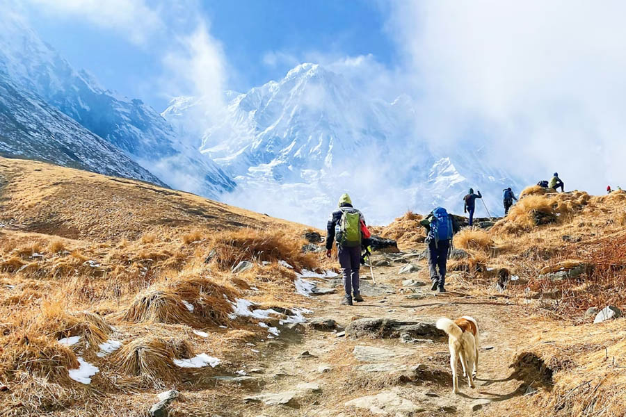 Tourists trekking in Annapurna region during spring season in Nepal