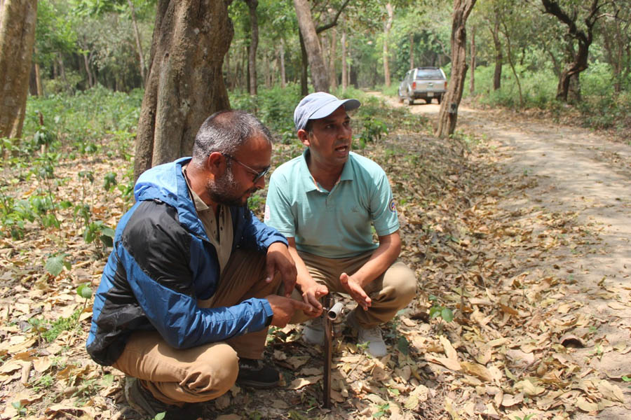 Artificial scent technology installation in Nepal's Terai