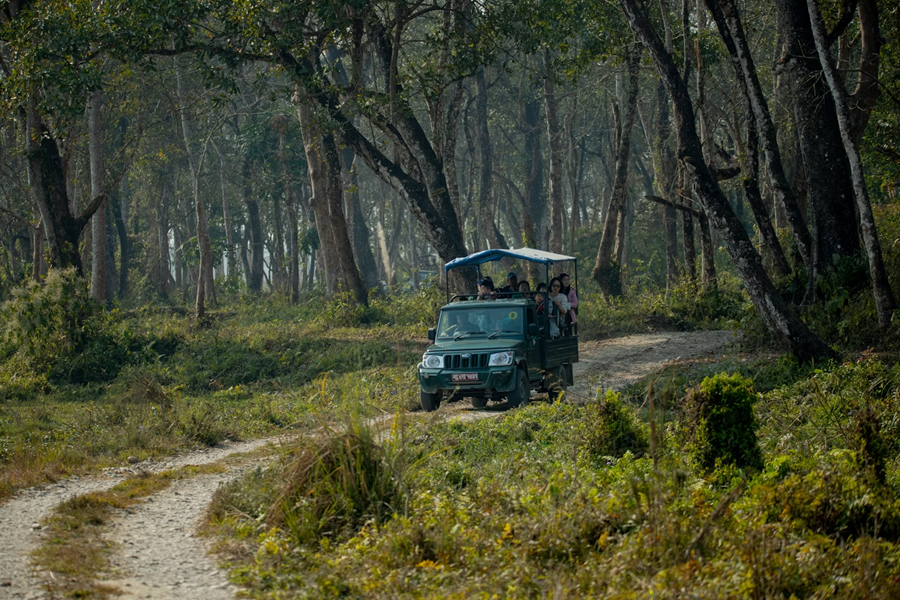 Tourists on a jeep safari watching wildlife in Chitwan National Park, Nepal.
