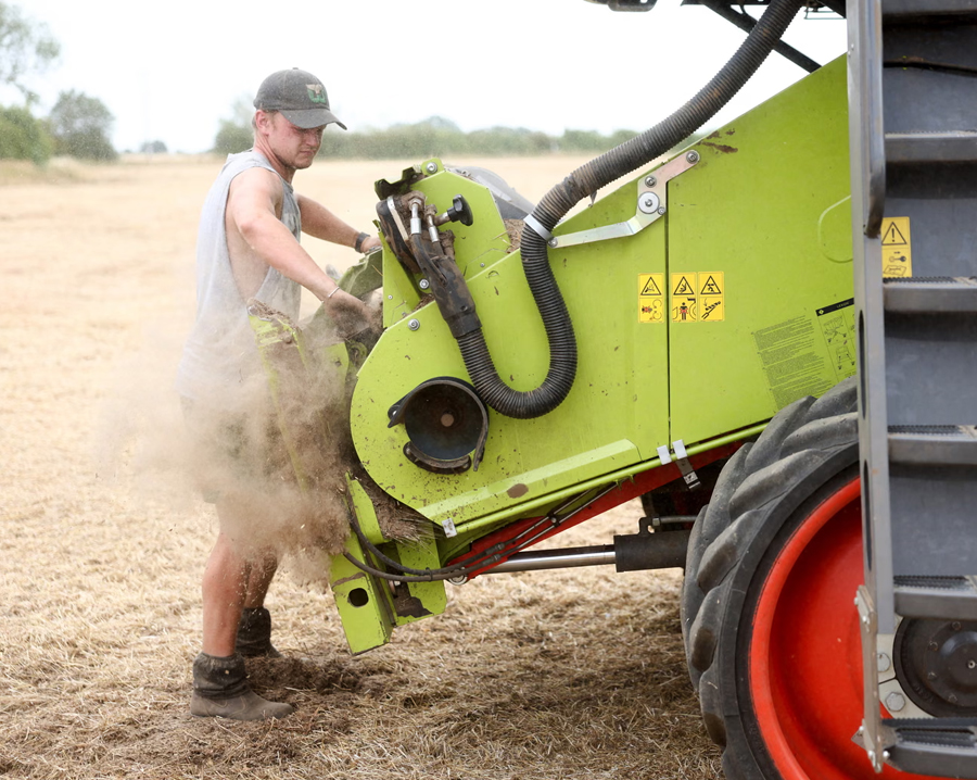 Global Food Prices at Three-Year High