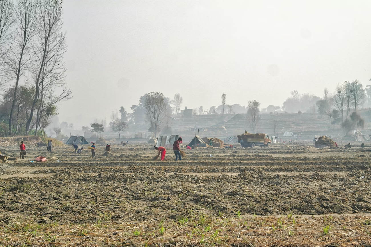 The worst impacts of the fertiliser supply crunch have been in the developing world, where farmers cannot afford soaring prices.