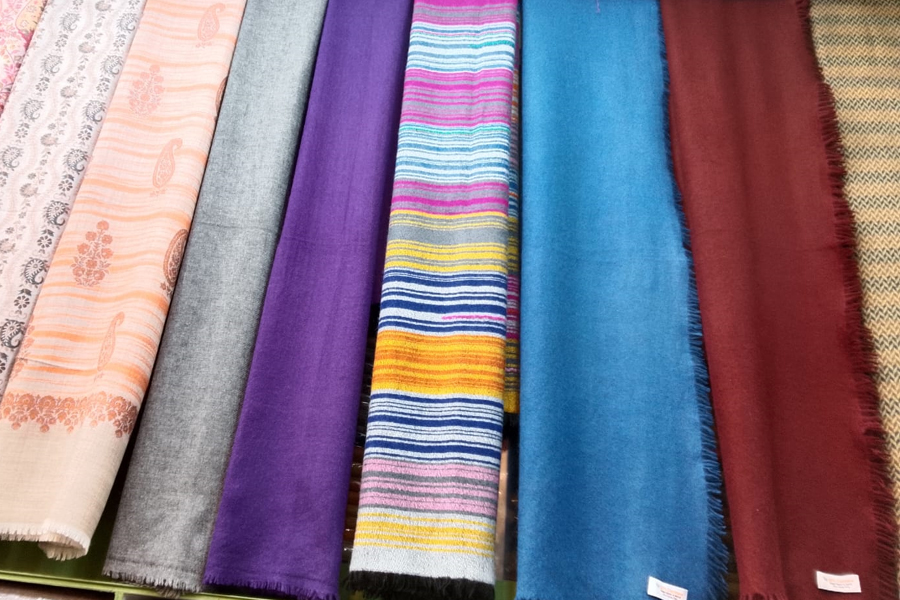 Pashmina Shawls