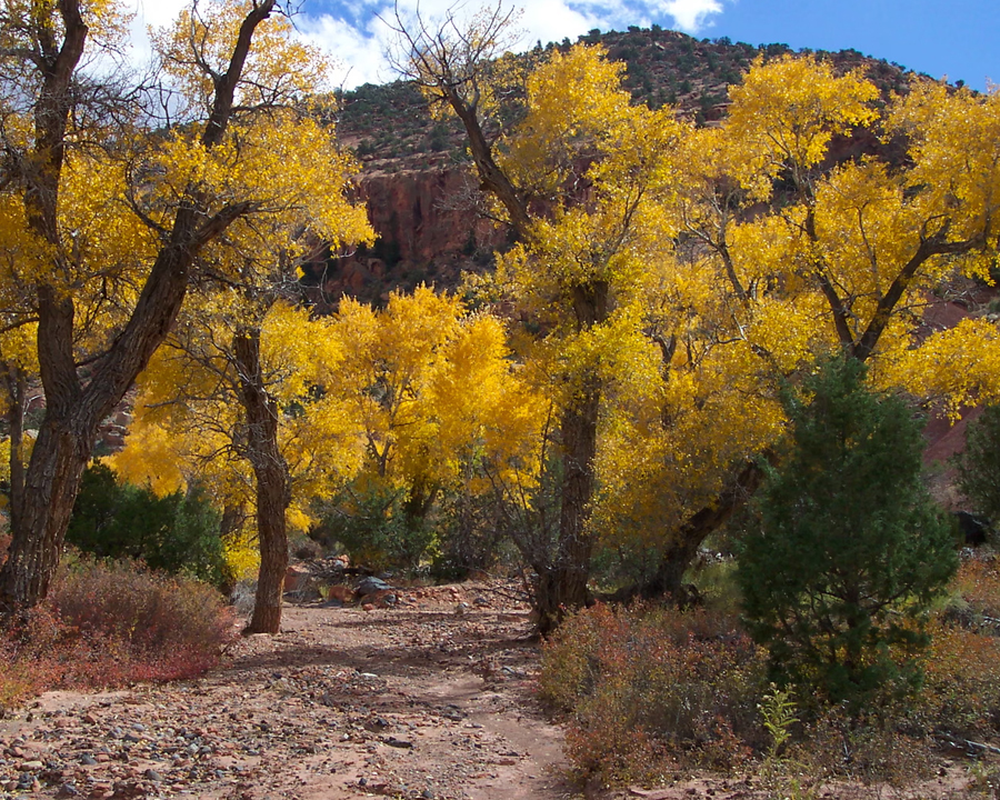 Sunglow campground in Bicknell, Utah, where the family was on a day trip