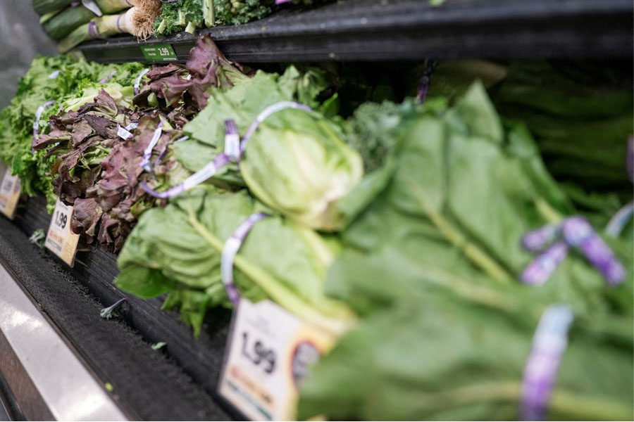The FDA has identified lettuce produced by Taylor Farms de Mexico as the source of one outbreak