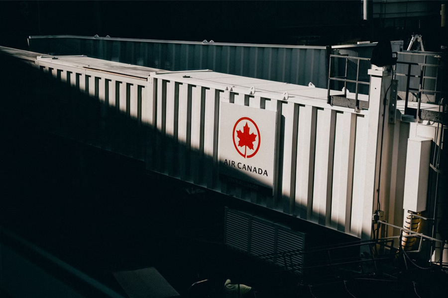 Train carrying goods
